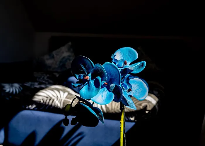 Dom W Karkonoszach 2 Podgórzyn